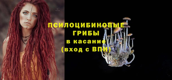 тгк Лагань