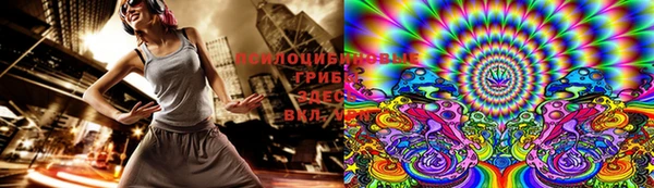тгк Лагань